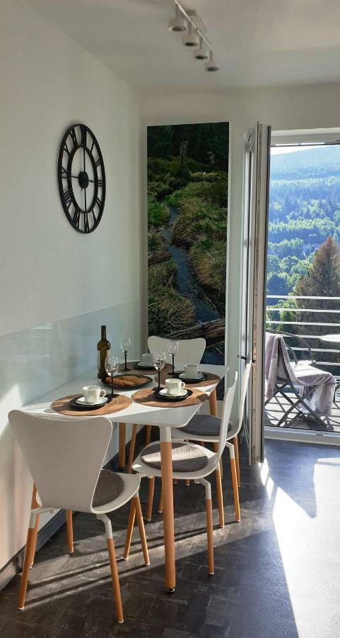 Apartament Logana Z Sauna - 5D Apartamenty Świeradów-Zdrój Kültér fotó
