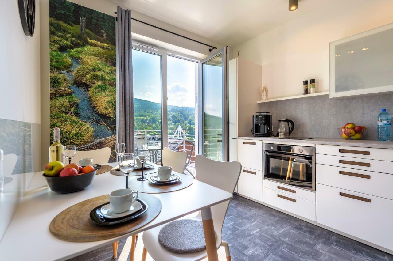 Apartament Logana Z Sauna - 5D Apartamenty Świeradów-Zdrój Kültér fotó
